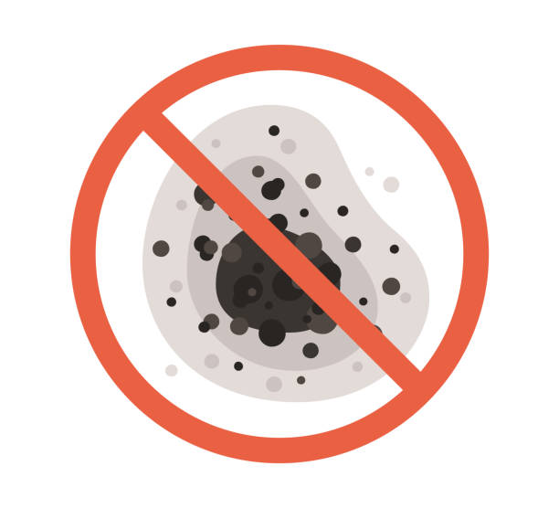 Best Comprehensive Air Testing for Mold Contaminants  in Cedar Falls, IA