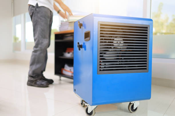 Best Environmental Consulting for Mold Prevention  in Cedar Falls, IA